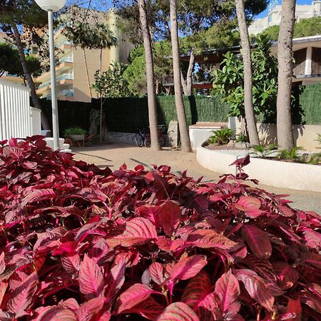 Paradis Salou, Centro Turistico, Wifi, Piscina, Vistas Al Mar מראה חיצוני תמונה
