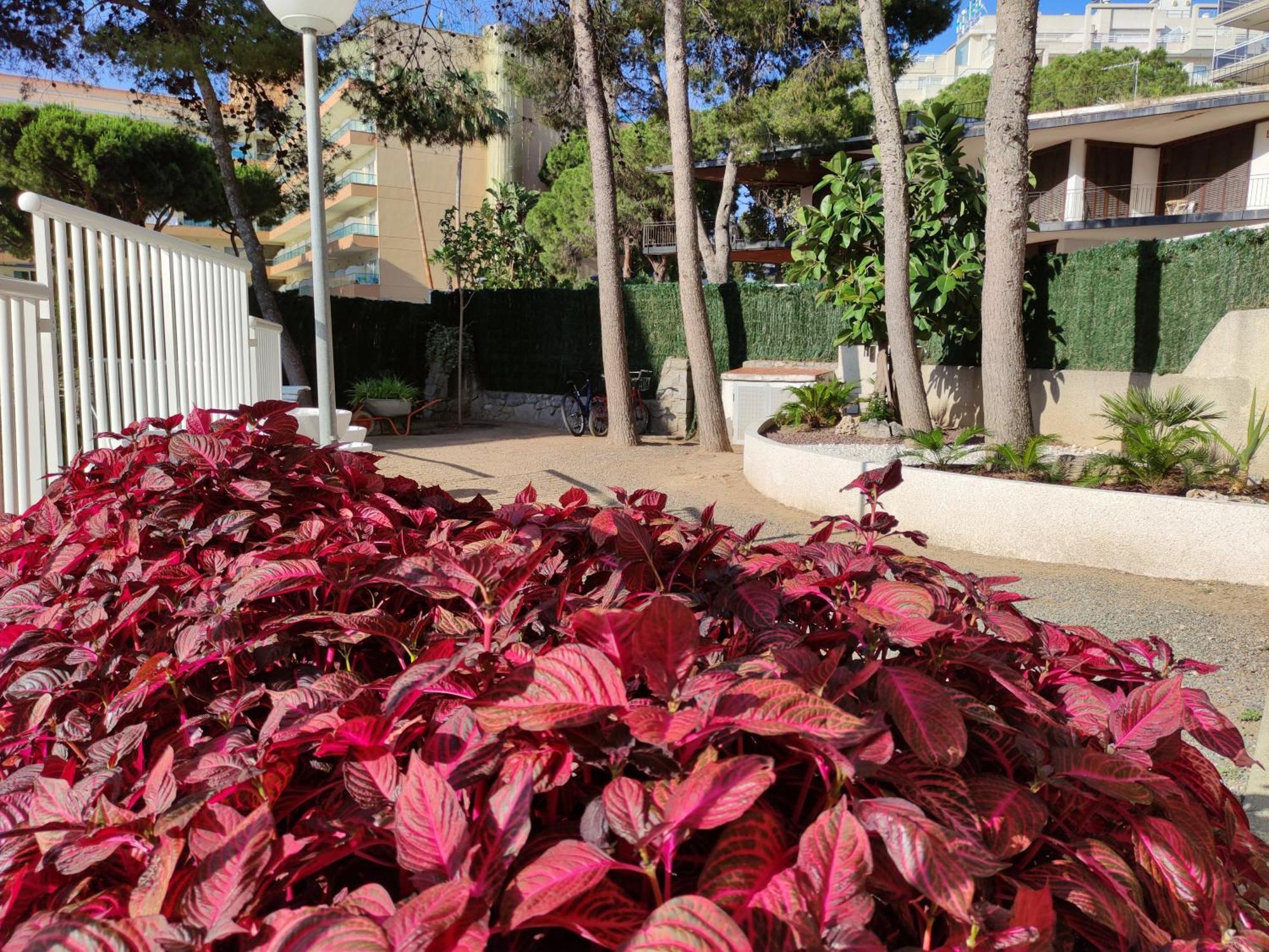 Paradis Salou, Centro Turistico, Wifi, Piscina, Vistas Al Mar מראה חיצוני תמונה